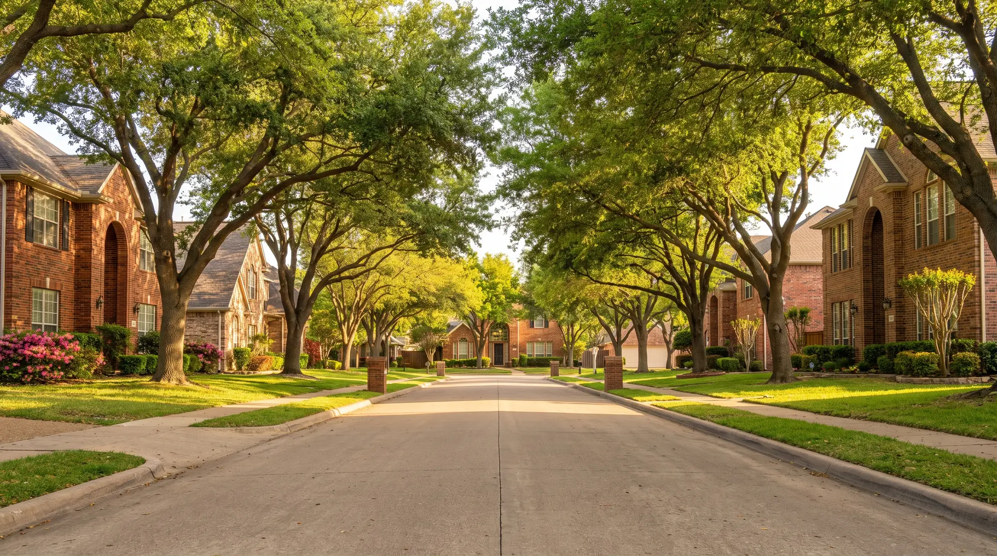 A sunny day in Forest Hill, Texas